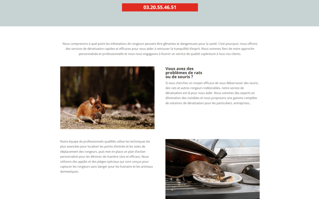5D Environnement