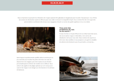 5D Environnement